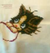 Arlequin con gatito