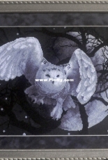 White Owl