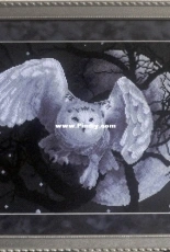 White Owl