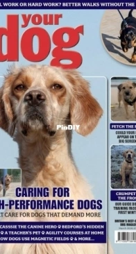 Your Dog - March 2026