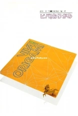 Viva! Origami - Jun Maekawa - Japanese