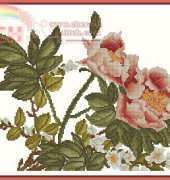 OTWO 12-102 Roses