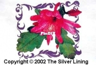 Silver Lining - L126 Epiphyllum #1