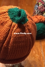 Little Pumpkin Beanie by Ashley Tisdale-Free