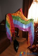 Self-Fringing Wildflower Shawl by Made in America Yarns -Free