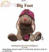 Twins-Big Foot by Ala Ela