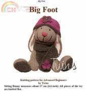 Twins-Big Foot by Ala Ela