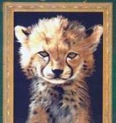kustom krafts JW-007 - Baby Cheetah