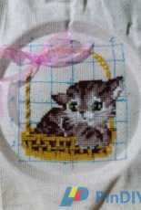 The cat riolis
