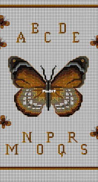 Club Point de Croix CPDC - Butterfly ABCs