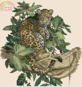 Bucilla 43691 - Leopard