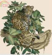 Bucilla 43691 - Leopard