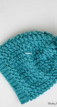 Winding Road Crochet - Lindsey Dale - Tons of Texture Slouch Beanie - Free