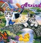 Arxinda - River Kittis