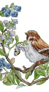 Blueberries by Jeanne Dick XSD