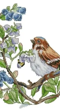 Blueberries by Jeanne Dick XSD