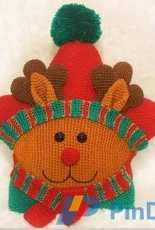 Eelzuhtjuhs Crochet and More - Eelz - Ilse Hoekstra  - Reindeer Star Pillow