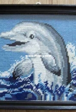 Dolphin