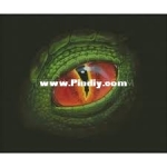 Tilton Crafts - Eye of The Earth Dragon