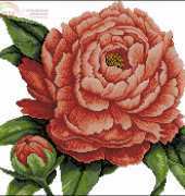 Cross House CH-108 Peony