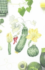V. Enginger - Mon Jardin Potager 2018 - Mango - Une Courge qui en jette XSD
