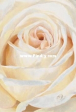 Levron Flower 01 / цвете