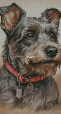 The Cheshire Cats Designs - Schnauzer XSD