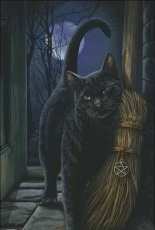 HAED HAELIP 21365 A Brush With Magick by Lisa Parker