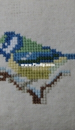 Little Bird.