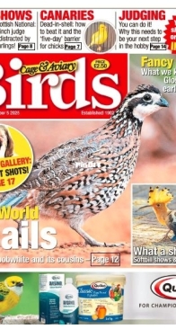 Cage and Aviary Birds - November 5, 2025