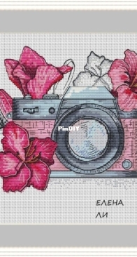 Camera by Elena Li