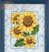 Dimensions  72700 Sunflower drama xsd