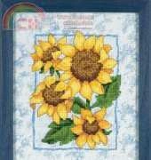 Dimensions  72700 Sunflower drama xsd