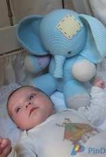 Marie Lize -Renee Elephant- Spanish - Translated - Free
