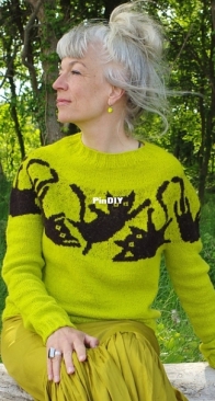 Crazy Cats Pullover by Maschenwunder Manja Vogelsang