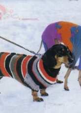 Unknown Designer - Clothes for dogs (2 pieces) - Russian - Free