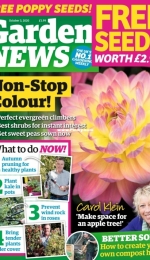 Garden News -  October 3 2020