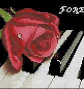 KCS 618140 Forever Love