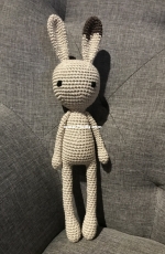 Bunny