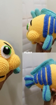 Flounder Fish