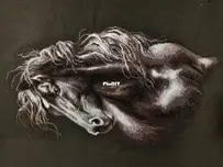 Riolis wind in the mane. Finish
