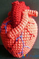 VooDoo Maggie - Maggie Clark - Anatomical Human Heart