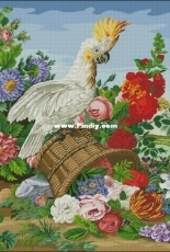 Elif - Antique cockatoo