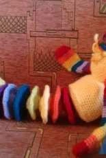 rainbow dog