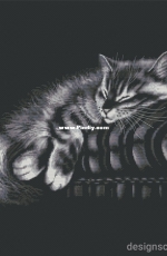 Sleeping Cat by by Tomina Galina - Free
