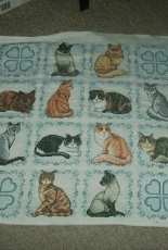 Cats by the Dozen