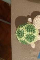 Little turtle
