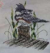 bird