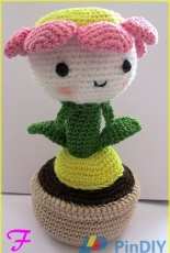 Daisy Flower