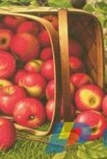 Golden Kite GK2806 Basket with Apples (Medium)